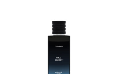 Toybah Wild Energy Parfum - Motala Perfumes - Sauvage Dior