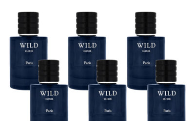Motala Perfumes 6-Pack Wild Elixir Paris Parfum 70ml - Sauvage Elixir by Dior