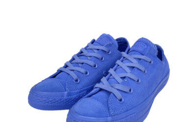 Converse All-Star Royal Blue Suede Low Top Sneakers